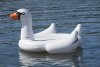 Mega Swan™ Inflatable Pool Float