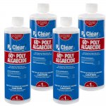 Rx Clear® Swimming Pool Algaecide 60 Plus | 1 qt. Bottle | 4-Pack