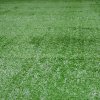 Artificial Synthetic Turf Grass for Indoor or Outdoor Use (Various Sizes)