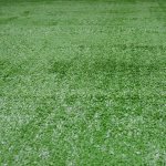 6' x 12' Economy Synthetic Grass - 72 Sq Ft