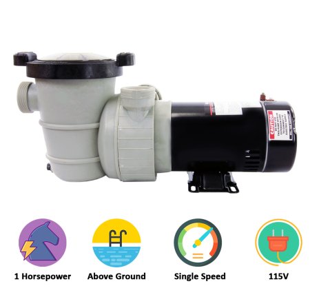 Rx Clear® Dorado Dual Port Above Ground Pool Pump (Various HP)