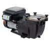 Rx Clear® Inground 1.65 THP Pump Variable 4-Speed