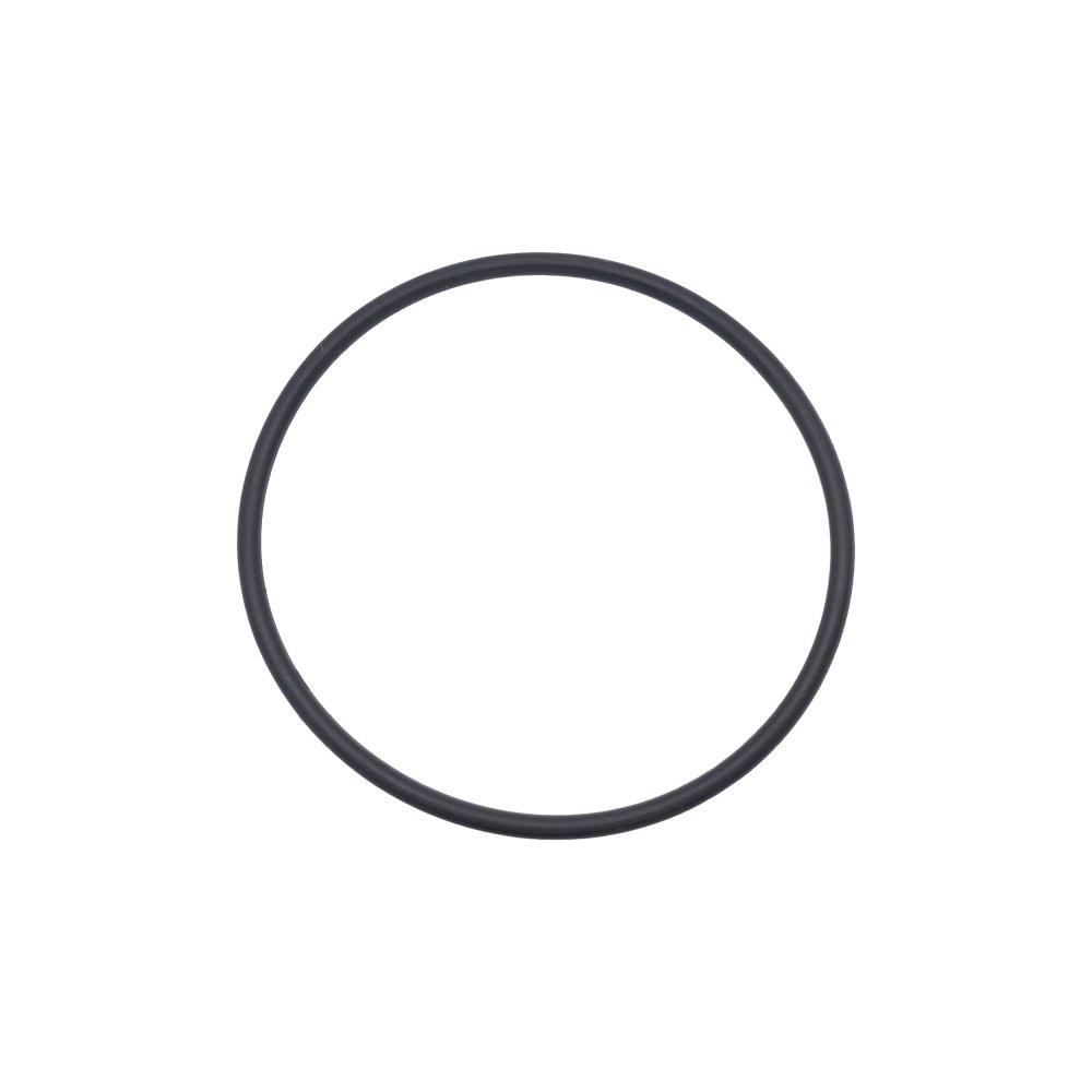 O-Ring For Union Kit #19