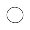 O-Ring For Union Kit #19