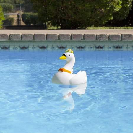 Goose Chlorine Dispenser In Swimming Pool