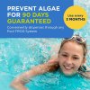 FROG BAM® 90 Day Algae Preventative