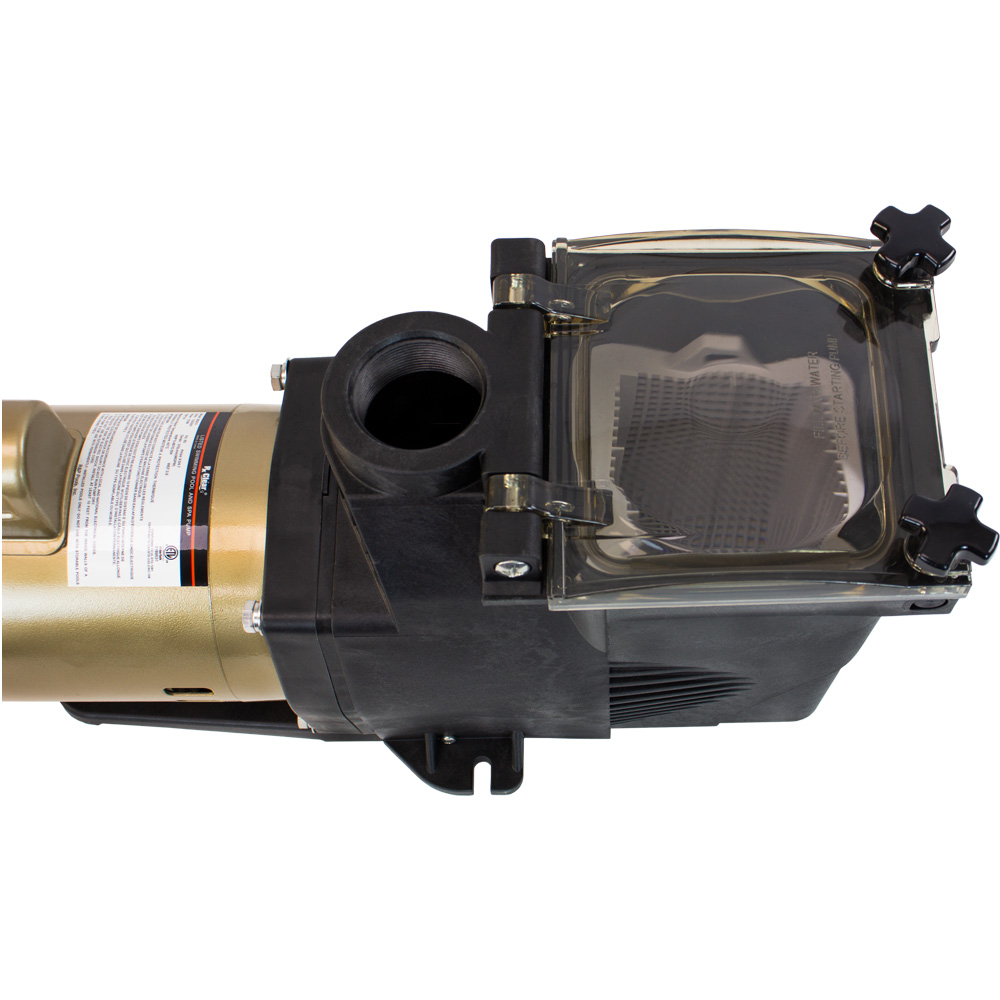 Rx Clear&reg; Ultimate Niagara Inground Pump - 56 Frame (Various HP)