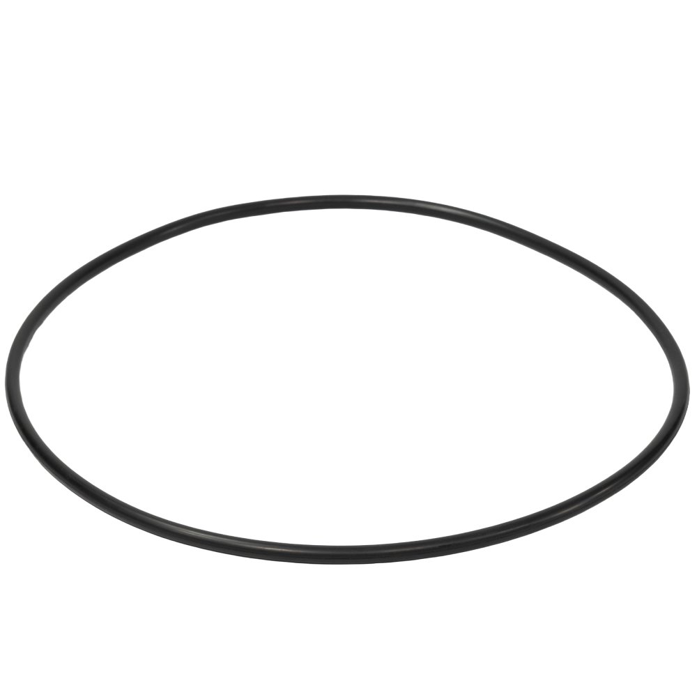 Rx Clear® O-Ring Replacement for 425/525 Quad Cartridge Filter System