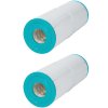 Rx Clear® Swimming Pool Filter Cartridges (Various Models)