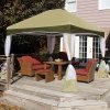 10' x 10' Garden Party Olive Branch Gazebo / Canopy