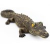 Floating 18" Alligator 2 pack