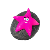 Floating Starfish Character Chlorinator (Various Colors)
