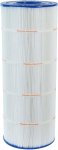 Pleatco Swimming Pool Filter Cartridge PA120