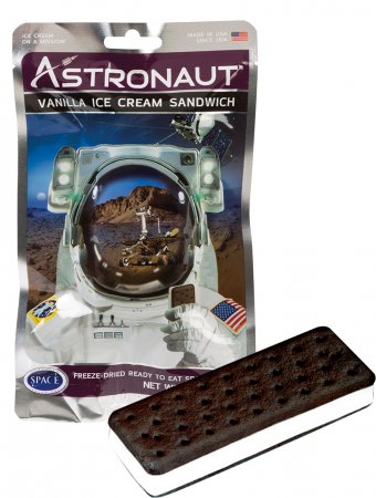 Astronaut Ice Cream Sandwich