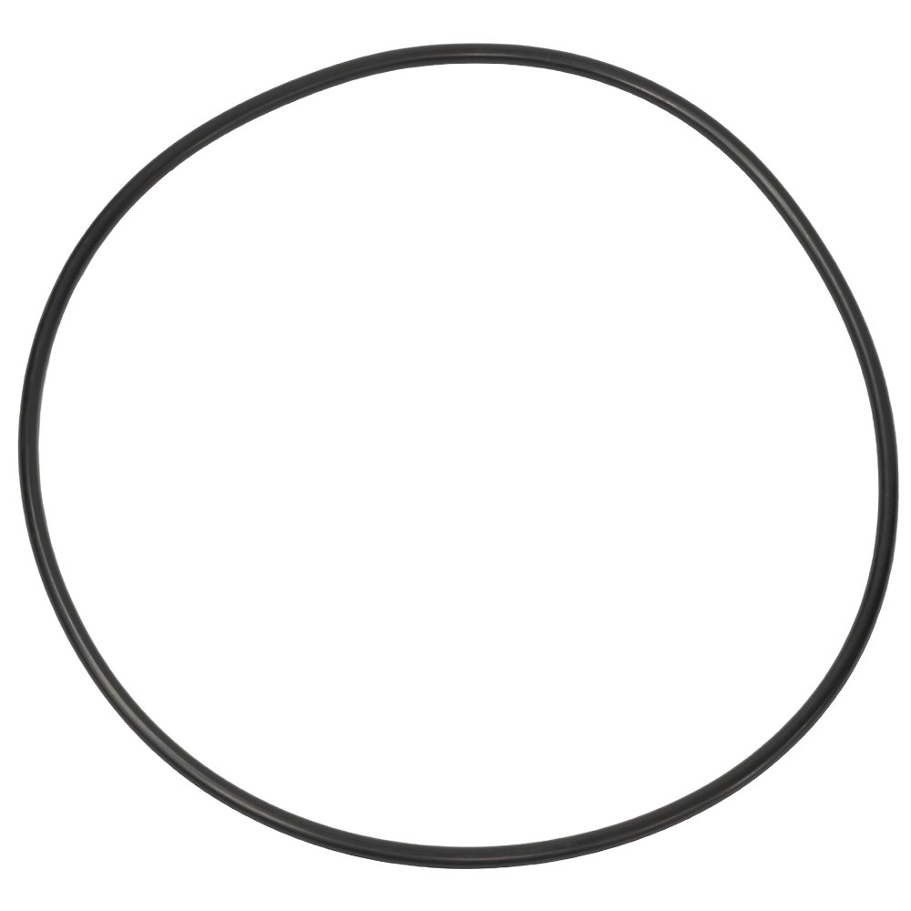 Rx Clear® O-Ring Replacement for 425/525 Quad Cartridge Filter System