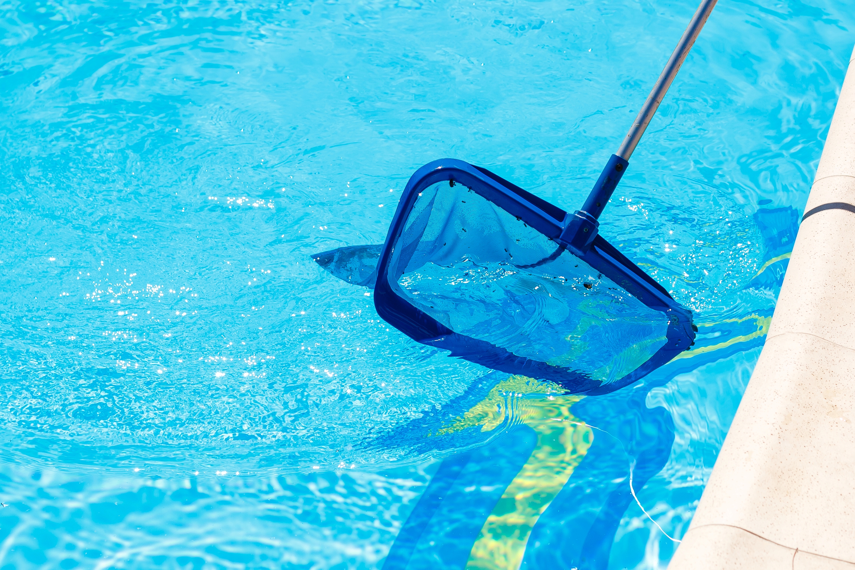 Someone skimming a pool