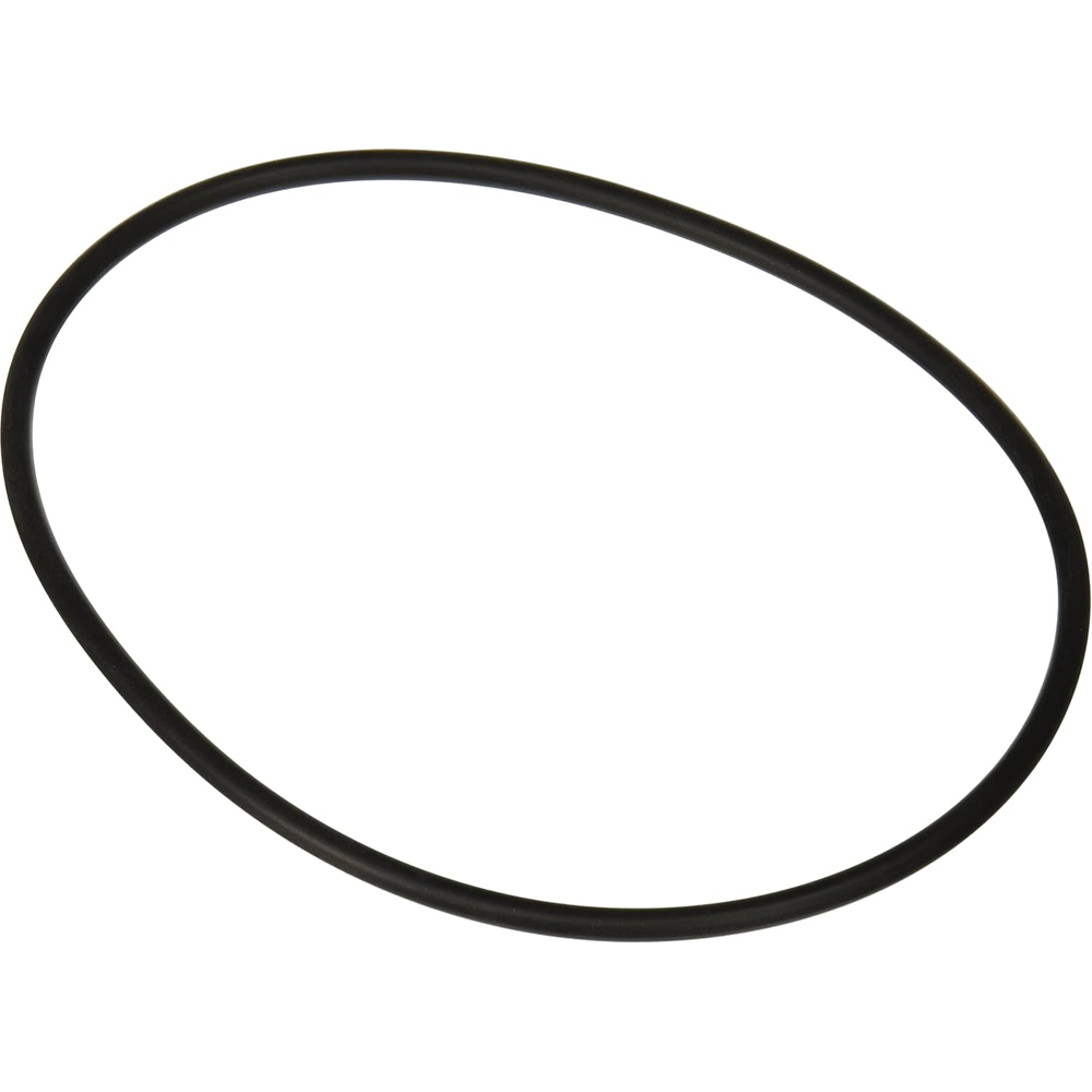 Hayward® Matrix® Strainer Cover O-Ring SPX5500H