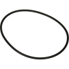 Hayward® Matrix® Strainer Cover O-Ring SPX5500H