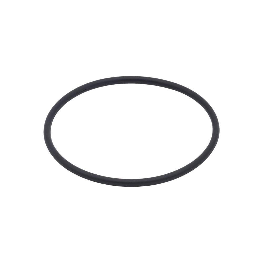 O-Ring For Union Kit #19
