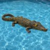 Floating 18" Alligator 2 pack