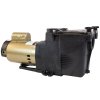 Rx Clear&reg; Ultimate Niagara Inground Pump - 56 Frame (Various HP)