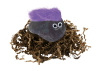 The Original <BR> Pet Rock