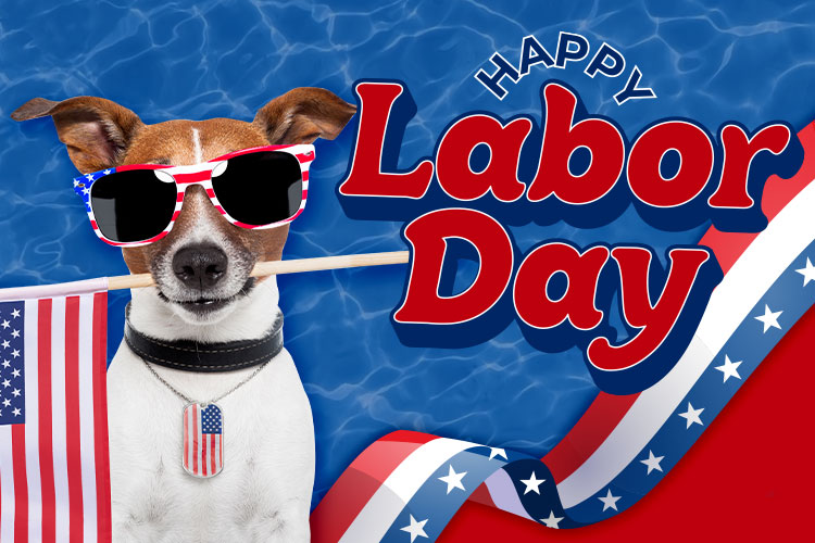 happy labor day message featuring dog and american flag