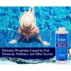 Woman In Swimming Pool - Phosphate Remover