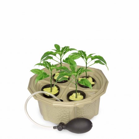 Homegrown<BR>Hydroponic Pepper Kit