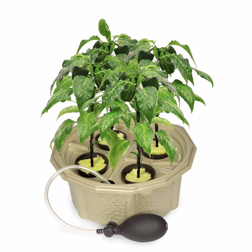 Homegrown<BR>Hydroponic Pepper Kit