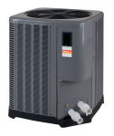 Raypak 119K BTU Heat Pump