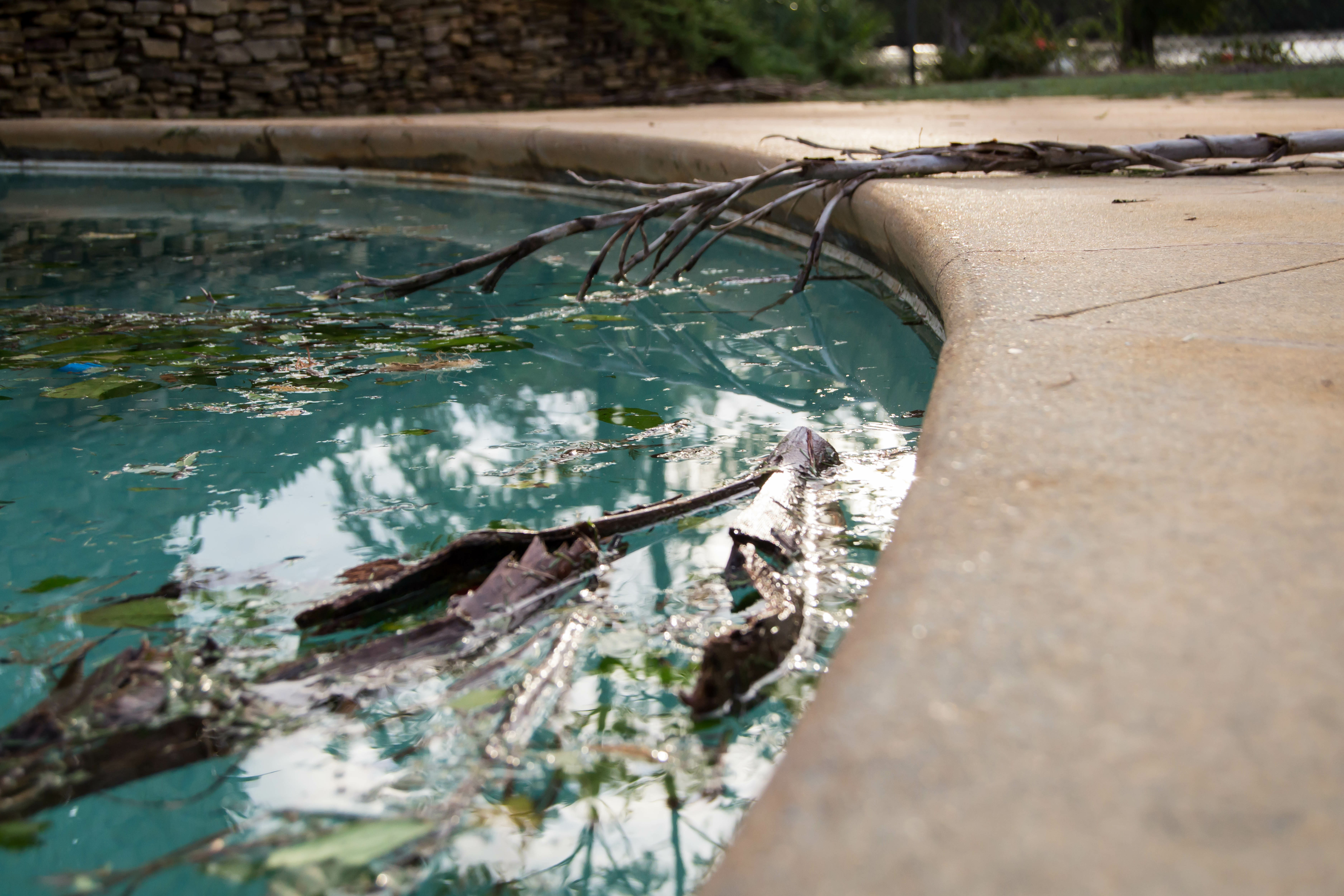 Branches and debris in an inground pool 