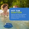 FROG® @ease® Floating Sanitizing System