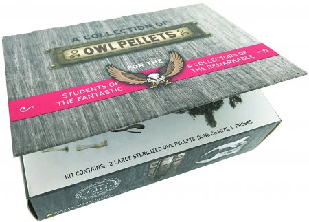 Owl Pellets <BR> Dissection Kit