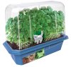 Grow Your Own Catnip<br> 2 Pack