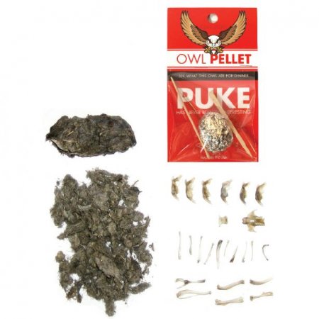 Owl Puke Pellet (Single)