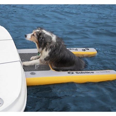 Inflatable Pup Plank