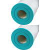 Rx Clear® Spa Filter Cartridges (Various Models)
