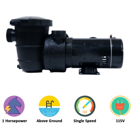 Rx Clear® Maxi Force Dual Port Above Ground Pool Pump (Various HP)