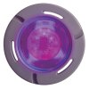 Hayward ColorLogic 320 1.5" LED Light