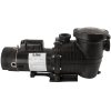 Rx Clear&reg; Mighty Niagara Dual Speed Inground Pump