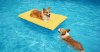 Aqua Select® The Good Buoy Floating Dog Mat (Various Sizes)
