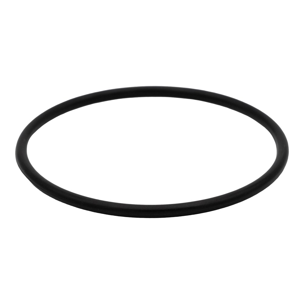 Small O-Ring Replacement for Rx Clear 425/525 Quad Filters