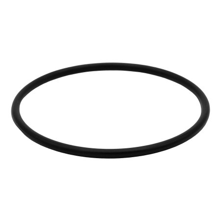 Small O-Ring Replacement for Rx Clear 425/525 Quad Filters