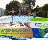 Rx Clear&reg; Swimming Pool pH Plus Increaser (Various Quantities)