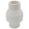 1 ½" Slip Swing Check Valve