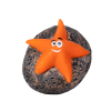 Floating Starfish Character Chlorinator (Various Colors)