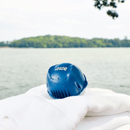 FROG® @ease® Floating Sanitizing System