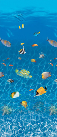 Caribbean Prism