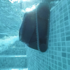 Dolphin™ Liberty™ 200 Robotic Pool Cleaner - Demo Model